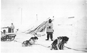 InuitDogTeam 2